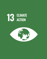 SDG13