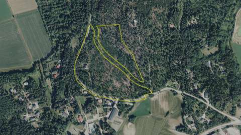 Metsäinen alue, johon piirretty aluerajaus.