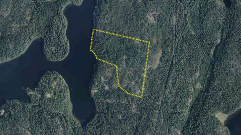 Metsäinen alue, johon piirretty aluerajaus. Rajauksen vasemmalla puolella vesistöä.