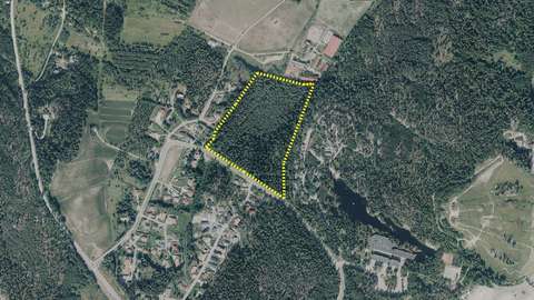 A wooded area with the area’s boundaries drawn on it.