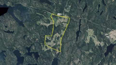 A wooded area with the area’s boundaries drawn on it.