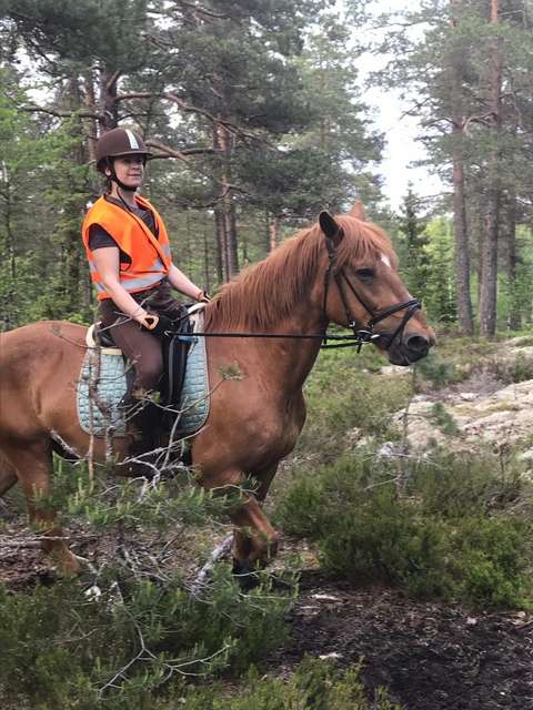 Outi ratsastaa metsässä.