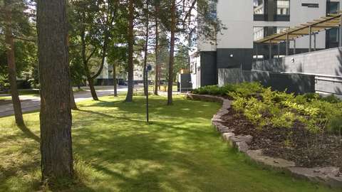 Eri-ikäisiä mäntyjä nurmella. Oikealla reunalla kerrostalokorttelin kansipihan seinää ja pitkä luiska. Rakenteiden edustalla maavarainen, luonnonkivillä rajattu pensasistutus. Taustalla siintää katu ja kerrostaloja.  