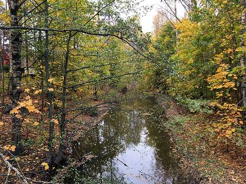Kuvassa näkyy syksyistä metsämaisemaan Gräsanojan ouman ympäristössä.