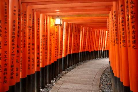 Torii-porttikuja Kiotossa.