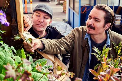 Kuvassa Innogreenin Mikko Sonninen ja Mats Wikström tutkailevat viherseinän kasveja. 