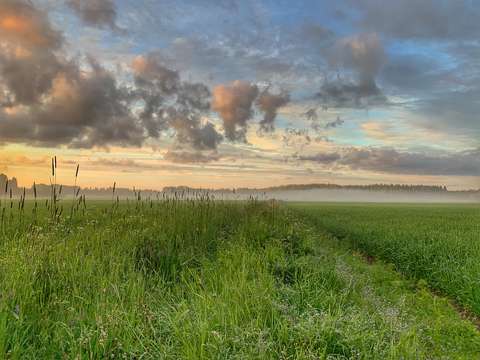 Kuvassa näkyy peltomaisema auringonlaskun aikaan ja taivaalla punertavia pilviä.