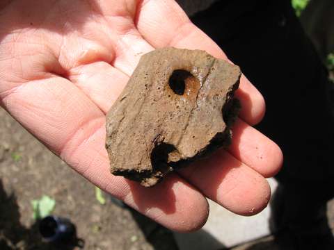 Kivikautista keramiikkaa Mankbystä, 2009.