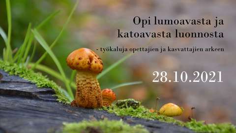 Webinaarin mainoskuvassa on pieni kellanruskea sieni sammaleisella lahopuulla.
