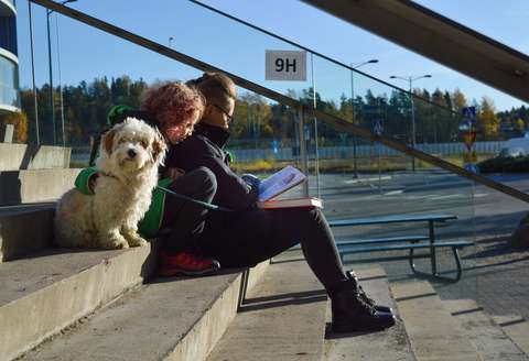 A woman and a child and a dog are sitting on the stairs.