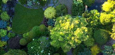 Kuvakaappaus dokumentista Katoava puutarha. 