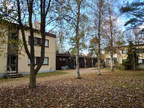 Piha-alue, jossa on rakennuksia ja puita.