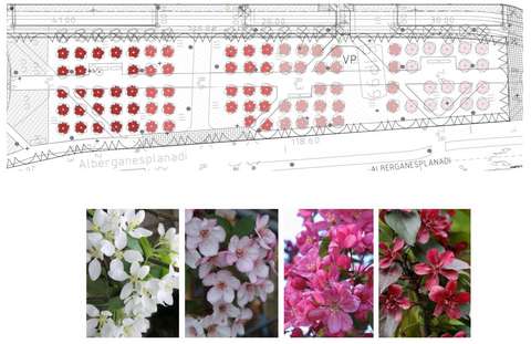 Illustration med underväxtlighet under trädena istället för gräsmatta.