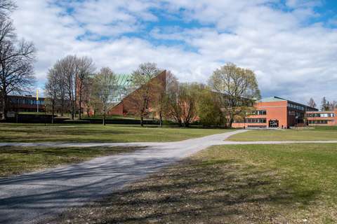 Puisto Otaniemessä.