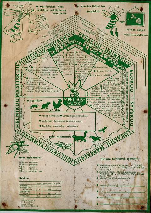 Mehiläisvuosijuliste, jossa on esitetty mehiläispesän vuodenkierto hoidon näkökulmassa.