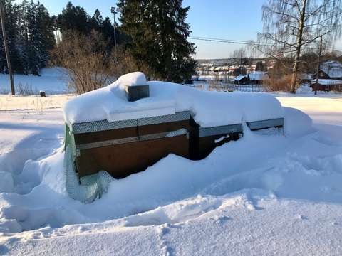 Mehiläistarhat lumen alla.