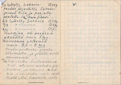 Ruutuvihkon sivulla mehiläisenhoito-ohjeita.