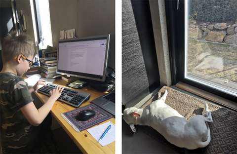 Kaksi kuvaa: toisessa poika tietokoneella ja toisessa koira makaa lasioven edessä talon sisällä auringosta nauttien.