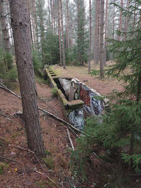 Hylätty ampumaradan betonibunkkeri metsässä.