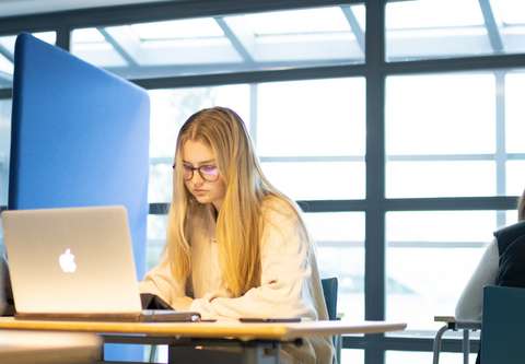 Studerande studerar i läsesalen