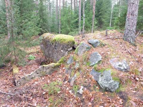Hylättyjä betonirakenteita metsässä.