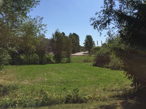 Pihanurmikkoa, pensaita ja puita kesällä.