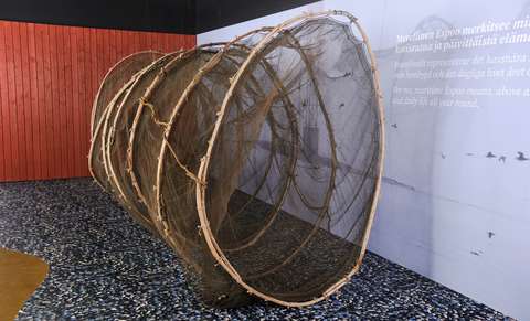 Rysä kuvattuna meriaiheisessa näyttelyssä