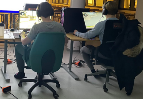 Kaksi pelaaja takaapäin pelin timmellyksessä. 