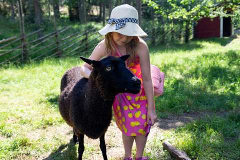 Pikkutyttö silittää mustaa lammasta kesäisessä maisemassa.