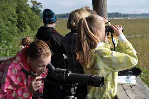 Lapset katsovat lintutornissa kaukoputkella ja kiikareilla.