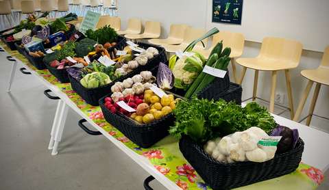 A table full of vegetables