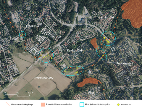 Kartta Latokaskenniitystä, sen ympäristössä sijaitsevista tunnetuista liito-oravan elinalueista ja kohdista, joihin on istutettu puuntaimia.