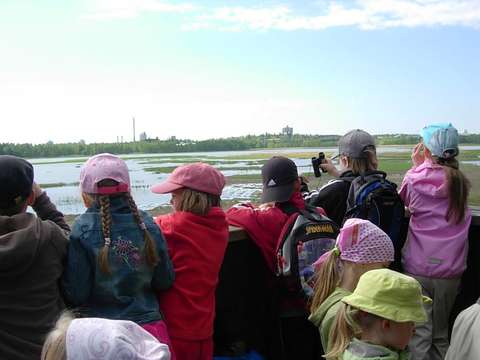 Lapia katselemassa lintutornissa näkymää ruovikkoiselle merenlahdelle.