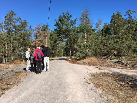 opiskelijoita Hanikan kalliolla