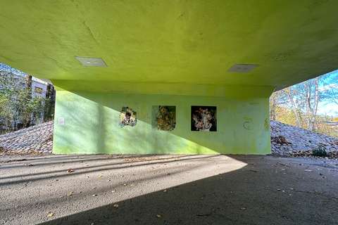 Näkymä alikulkutunneliin, jonka seinämä ja katto on maalattu vihreäksi. Seinämällä on kolme teoskokonaisuuden osaa.