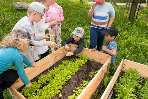 Viljelylaatikko päiväkodin pihalla. 