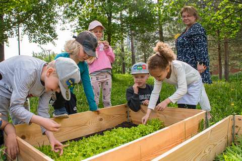 Lapset syömässä itse kasvatettua salaattia. 