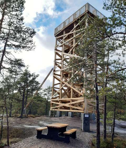 Lintutorni ja metsä.