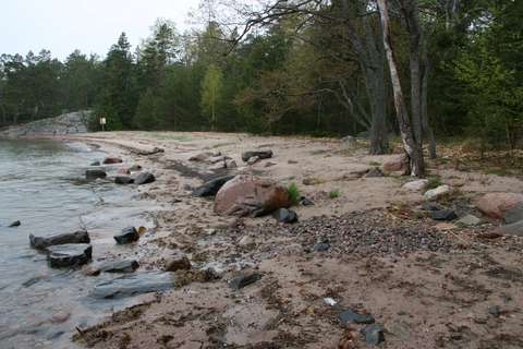 A photo on a sand beach next to the sea, forest on the background.