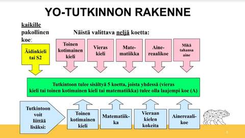  YO-tutkinnon rakenne kaaviokuvana.