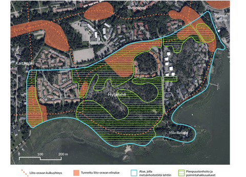 Karttakuva Hyljelahden alueesta. Kaikilla laajemmilla metsäalueilla toteutettiin pienpuustonhoitoa ja poimintahakkuita. Liito-oravahavaintoja on tehty alueen länsi-, keski- ja koillisosista.