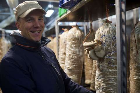 Man presenterar en svampodling.