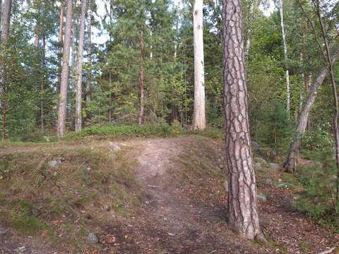 Osa Karhusaaren kivääriaseman vallituksesta.