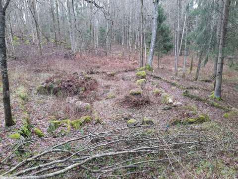 Rakenteita Mankbyn kylätontilla.