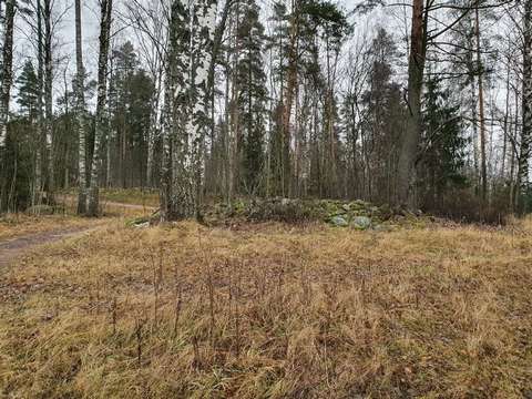 Västerängenin röykkiö metsän reunassa.