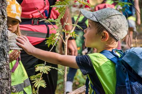 Lapset tutkivat puunrunkoa.