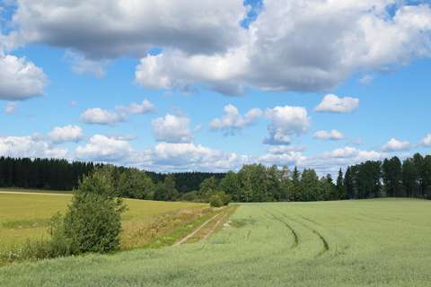 Pohjois-Espoon viljelysmaisemaa.
