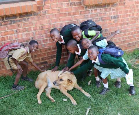 Zimbabwelaisia lapsia toimintakeskuksen koiran kanssa.