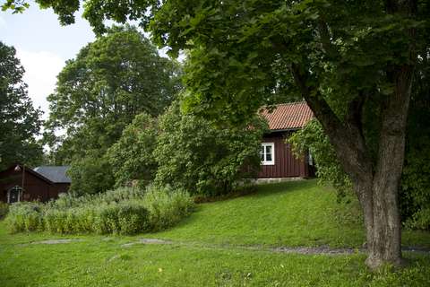 I ett grönskande område i skuggan av stora och gamla träd syns ett gammalt rödaktigt hus. 