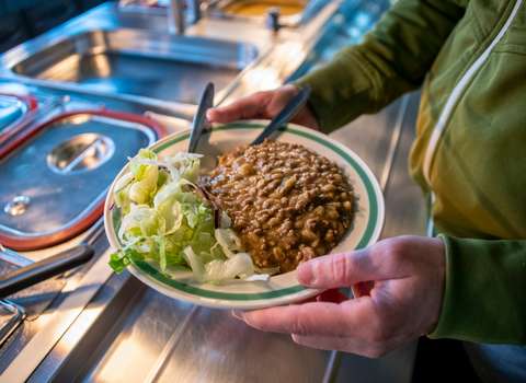 A person is holding a plate with food.